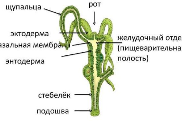 Даркнет сайт войти